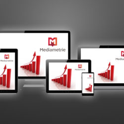 MultiscreenMediametrie.001.jpeg