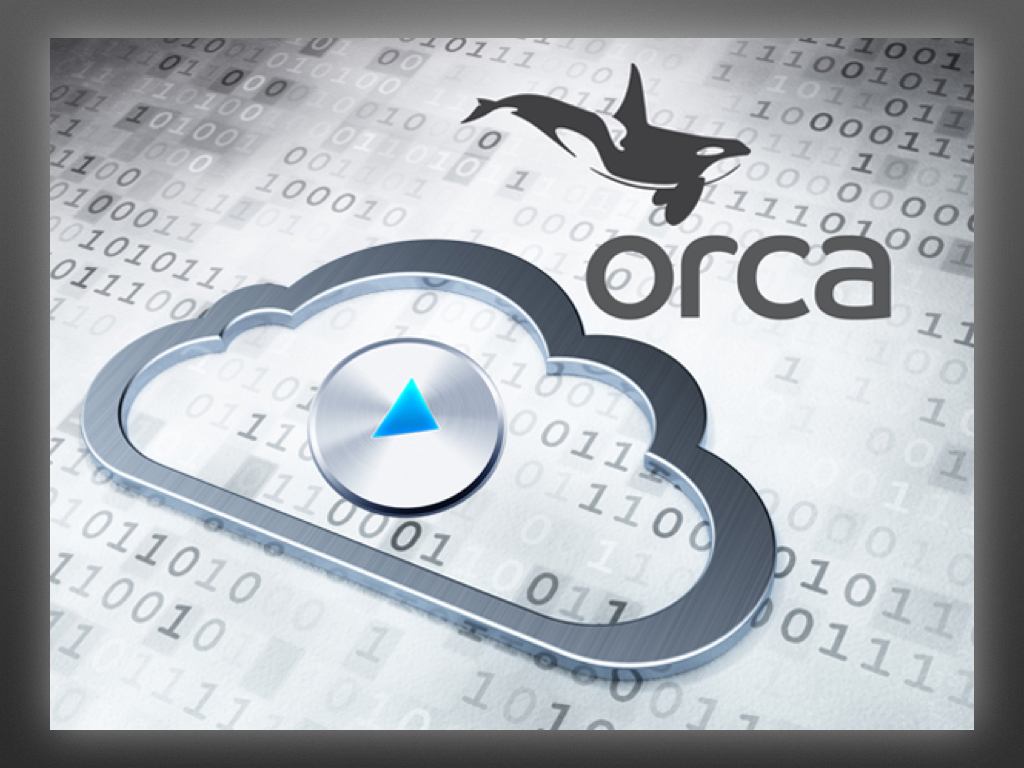 Orca.jpeg