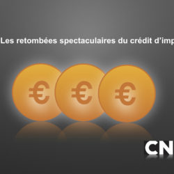 Credit-dimpot.jpeg