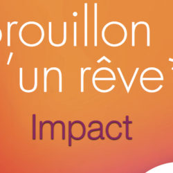 brouillonreveimpact.jpeg