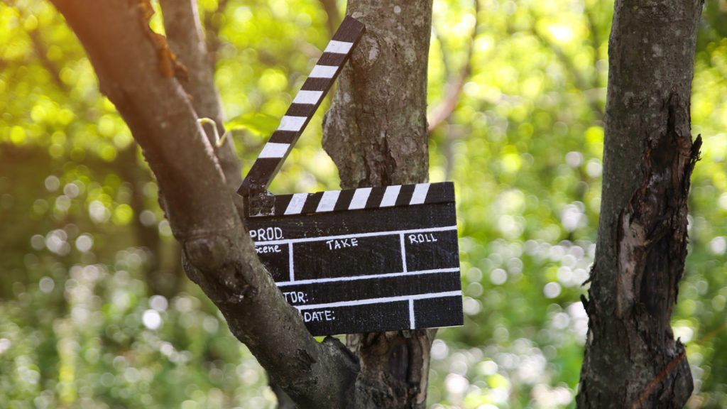 Éco & Solidarité : la SATIS TV y croit ! © AdobeStock