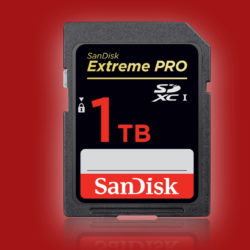 Sandisk.jpeg