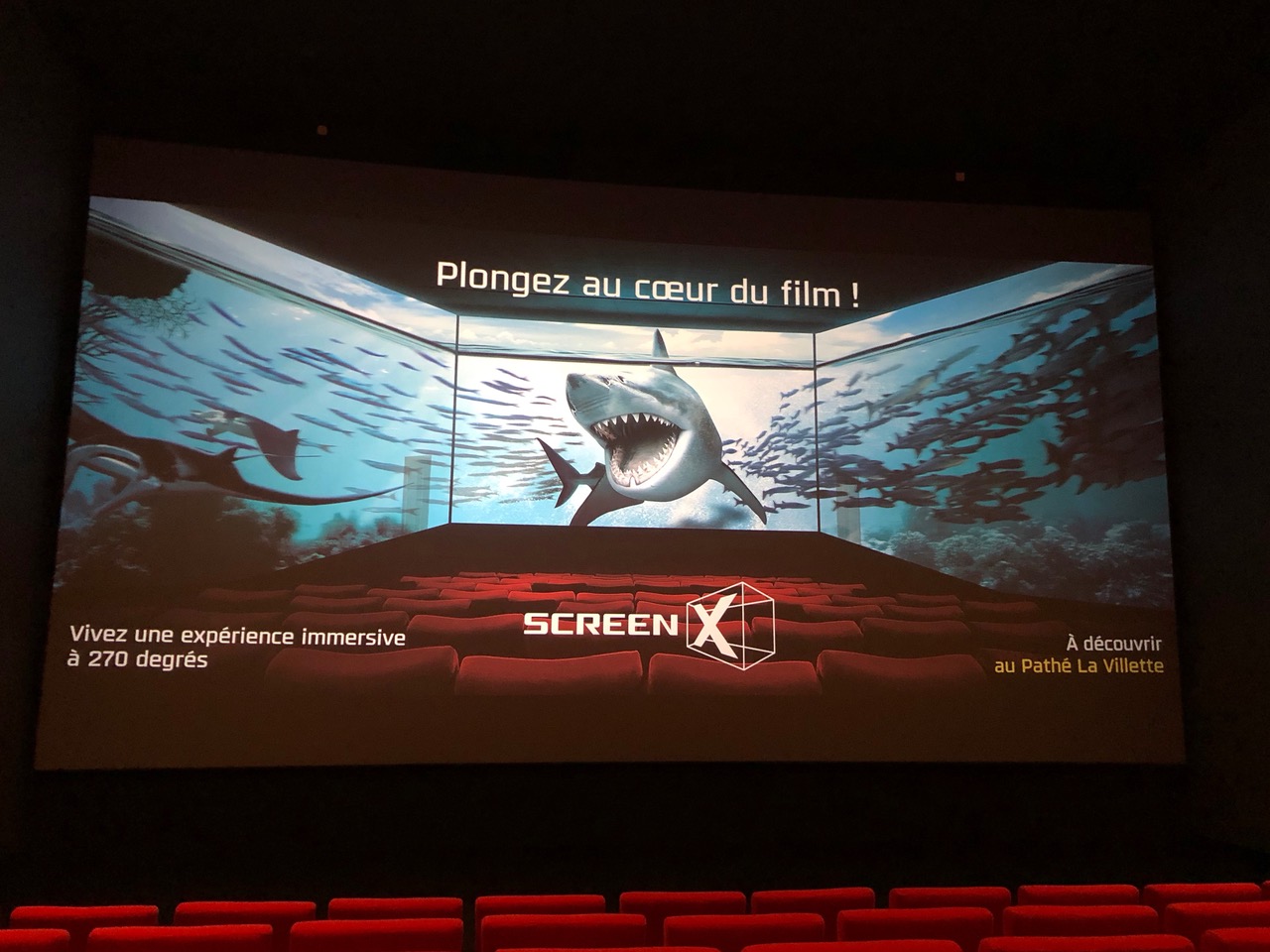ScreenX.jpeg