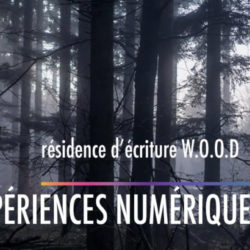 RESIDENCE_WOOD001.jpeg