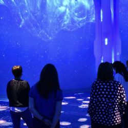 Bienvenue à Nausicaá, nouvelle salle immersive qui voit le jour avec les médias serveurs Modulo Pi © DR