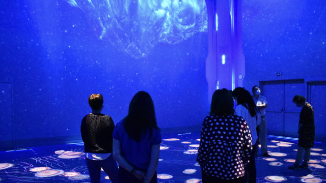 Bienvenue à Nausicaá, nouvelle salle immersive qui voit le jour avec les médias serveurs Modulo Pi © DR